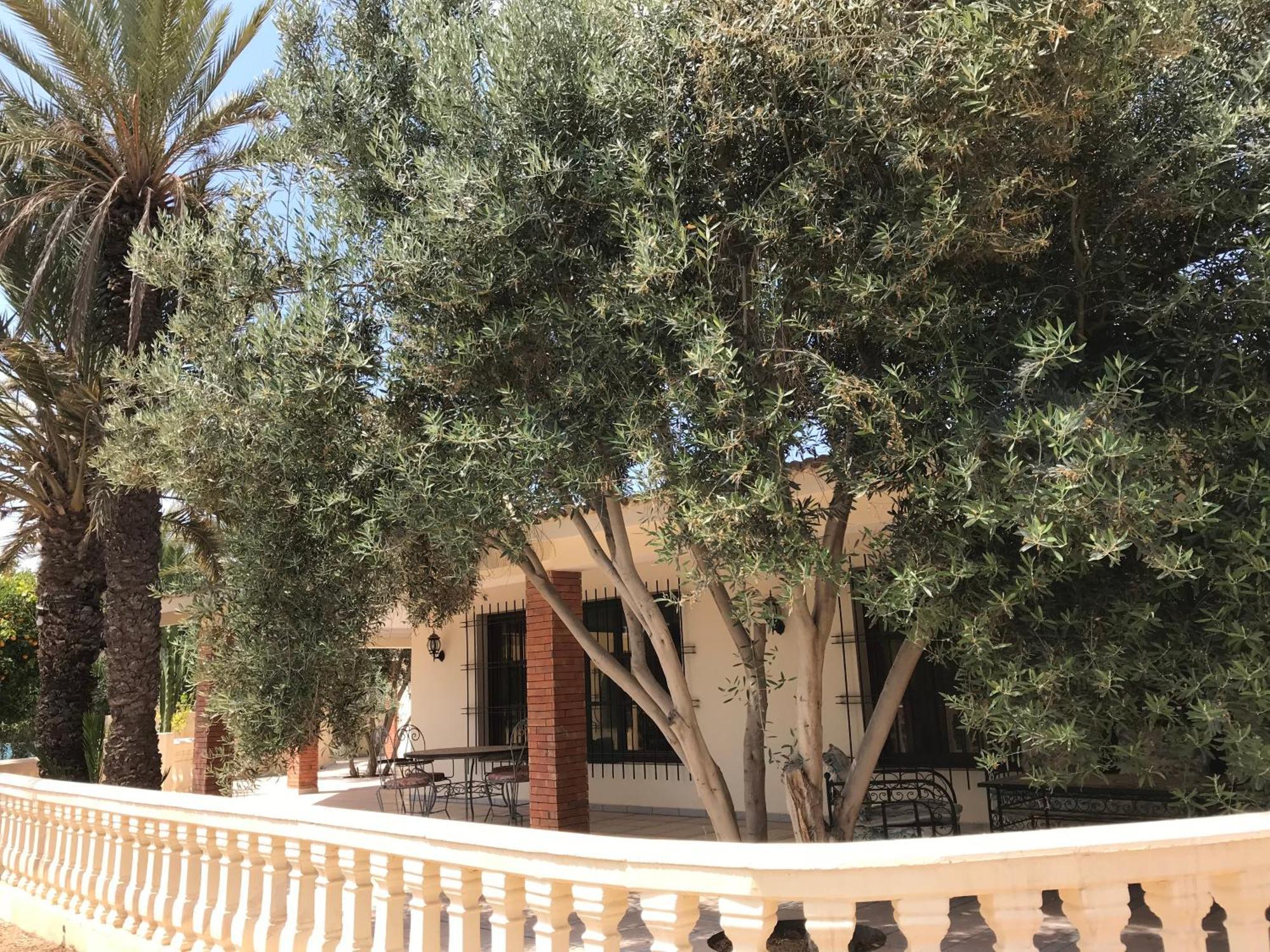 Tiguimi Vacances - Oasis Villas, Cadre Naturel Et Vue Montagne Agadir Exterior foto