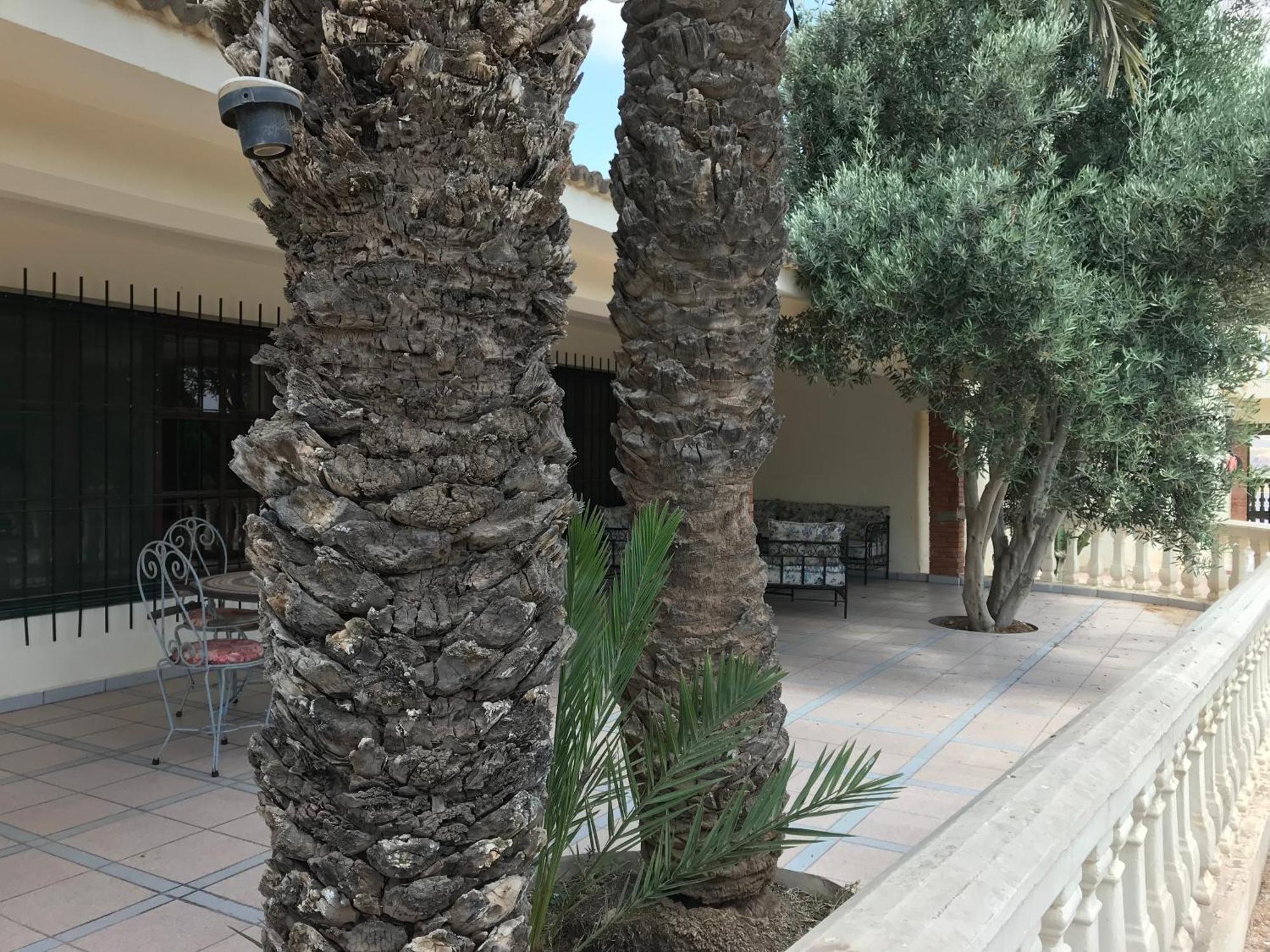 Tiguimi Vacances - Oasis Villas, Cadre Naturel Et Vue Montagne Agadir Exterior foto