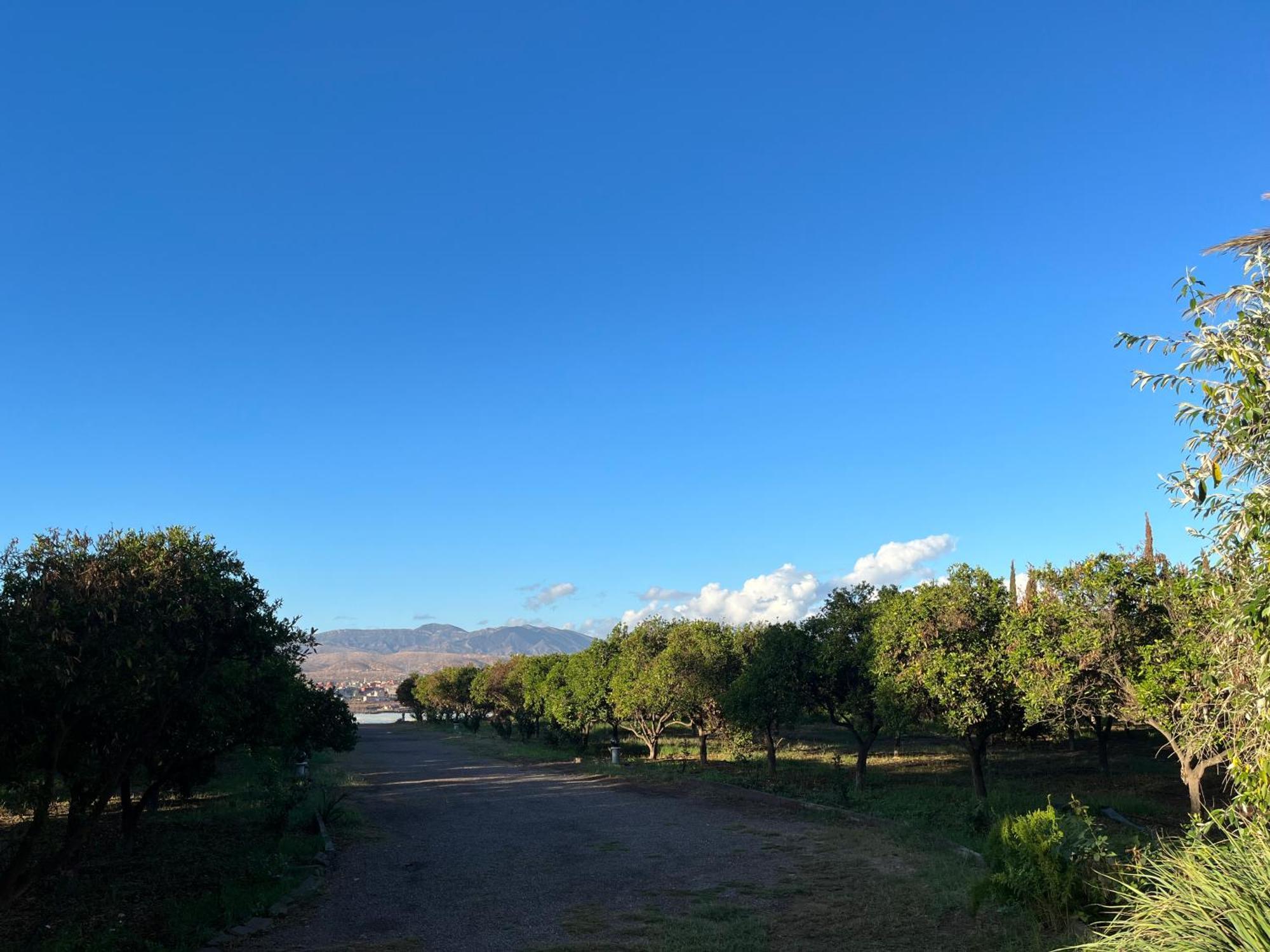 Tiguimi Vacances - Oasis Villas, Cadre Naturel Et Vue Montagne Agadir Exterior foto