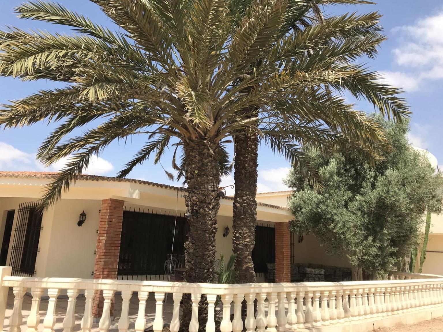Tiguimi Vacances - Oasis Villas, Cadre Naturel Et Vue Montagne Agadir Exterior foto